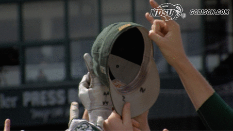 north dakota state baseball GIF by NDSU Athletics