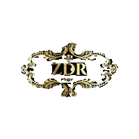 Zdr Sticker by Slink