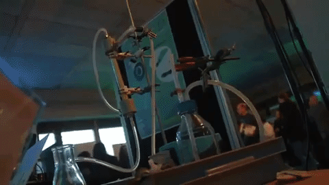 entertainment tricking GIF