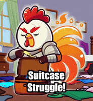 Travel Adventure GIF by Zorooster