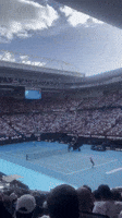'Unbelievable': Crowd Roars as Underdog Sinner Sends Djokovic Out of Australian Open