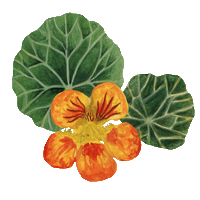 Food Nourish Sticker