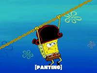 season 6 penny foolish GIF by SpongeBob SquarePants