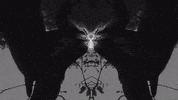 Art Video GIF by jorgemariozuleta