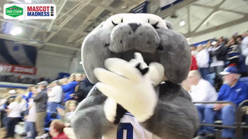 Drake Bulldogs Ncaa GIF by Missouri Valley Conference