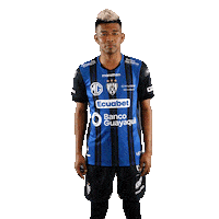 Futbol Ecuador Sticker by INDEPENDIENTE DEL VALLE