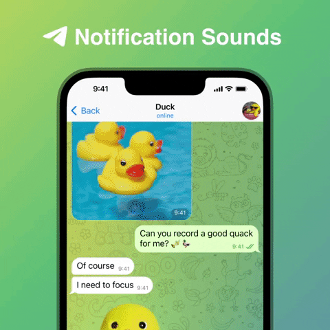 eddroos giphyupload GIF