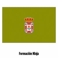 Flag Spain GIF by Formación Ninja
