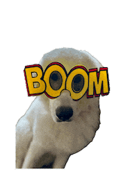 Boom Funny Dog Sticker