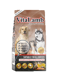 Dog Beef Sticker by Pets 'N Us Official