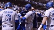 Blue Jays Baseball GIF by Toronto Blue Jays