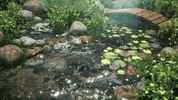 Koi Pond Landscape GIF