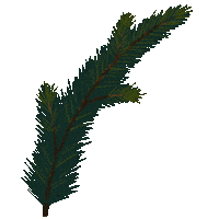 New Year Christmas Sticker