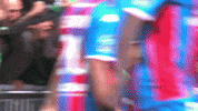 Fans Rage GIF by AS Saint-Étienne