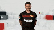 happy bayer leverkusen GIF by Bundesliga