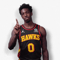Sport No GIF by Atlanta Hawks