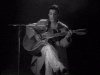 the revolution prince GIF