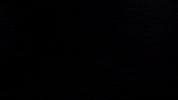 idahome nextidaho GIF by NexTitle