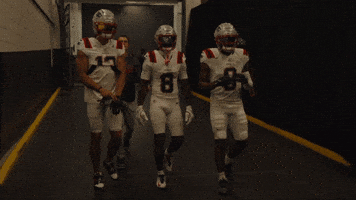 Stefon Diggs Football GIF by New England Patriots