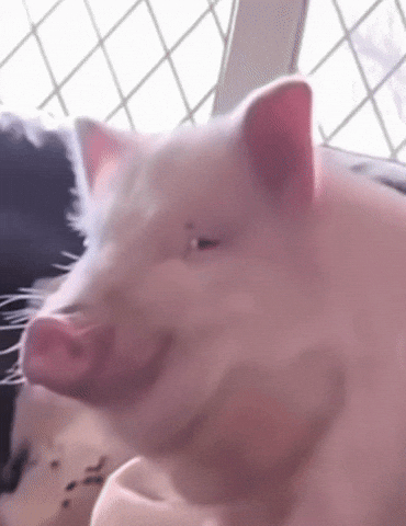 Hungry Monster GIF