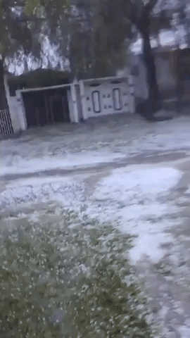 Streets Blanketed in Hail as Storm Hits United Arab Emirates