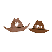 universalmusicbrasil lucas sertanejo chapeu dupla Sticker