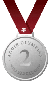 Texas Am Gold Sticker by Texas A&M University