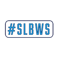 SeniorLeagueWorldSeries baseball worldseries littleleague easley Sticker