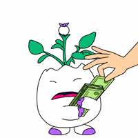 Cash Stealing GIF by Magic Eden
