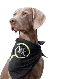 Dog No Sticker by Klickkomplizen