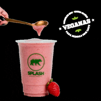 bebasplash amor vegan delivery splash GIF