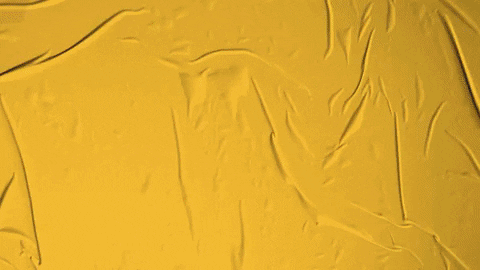 Under Armour Basketball GIF by Pearl River Athletics