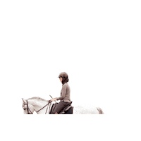 Dressage Trotting Sticker by snuitable