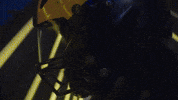 Go Blue Michigan Football GIF by Michigan Athletics