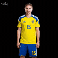 Fifa World Cup Uefa GIF by Respective