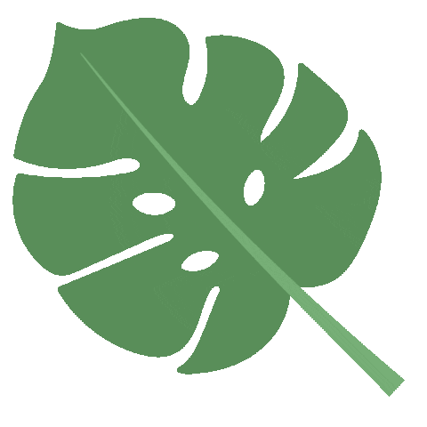 jwildflower giphyupload nature plant leaf Sticker