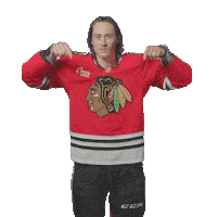 Tyler Bertuzzi Chicago Sticker by NHLBlackhawks