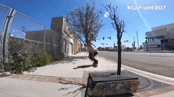 bus stop skateboarding GIF by Chris Cole