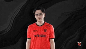 Excuse Me What GIF by Tribe Gaming