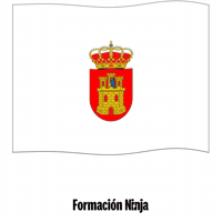 Bandera Malaga GIF by Formación Ninja