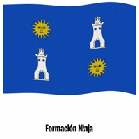 Comunidad Valenciana Flag GIF by Formación Ninja