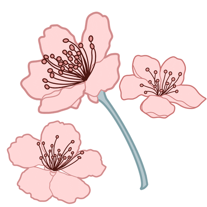 FLORALARTFANCY giphyupload pink kawaii spring Sticker
