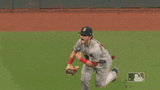 celebrates GIF by MLB