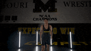 Ncaa Hawks GIF by Mizzou Athletics