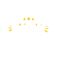 Futebol Copa Sticker by dt3