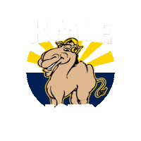 Radio Country Sticker by LIVE 101.5 Phoenix