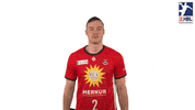Sport Handball GIF by LIQUI MOLY HBL