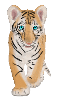 Chinese New Year Tiger Sticker