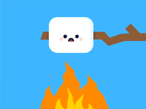 campquarantine giphyupload camping campfire marshmallow GIF