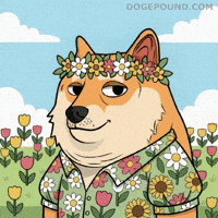 Happy Good Vibes GIF by Doge Pound